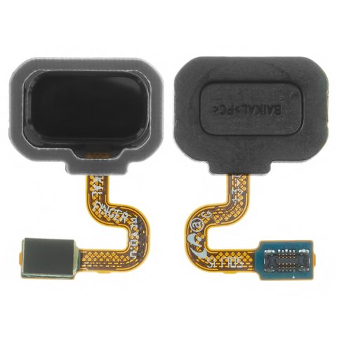 Cable flex puede usarse con Samsung N950F Galaxy Note 8, N950FD Galaxy Note 8 Duos, para escaner de huellas dactilares
