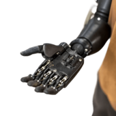 Проєкт Victoria Hand